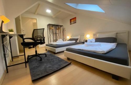 Bad Friedrichshall Apartment | Deluxe Business Suite mit 2 Schlafzimmer & Parkplatz, Netflix Premium, zentral zu Audi & Schwarz Gruppe