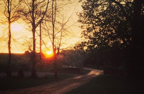 Ewelme Apartment | Deluxe Lodge Copse Lodge at The Chilterns View