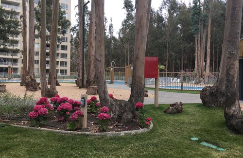 Mirasol Apartment | Departamento Algarrobo Los Olivos