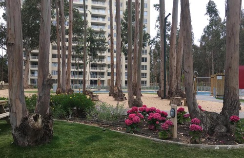 Mirasol Apartment | Departamento Algarrobo Los Olivos