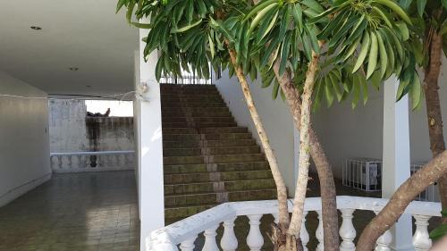Las Gaviotas Apartment | Departamento Zona Dorada Mazatlán 6