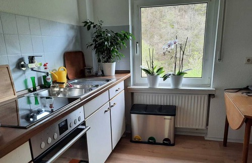 Freudenberg Apartment | " der Englische Garten "