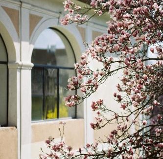 Hartberg Hotel | Der Pfarrhof