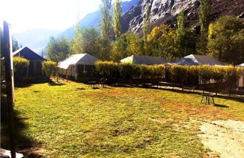 Hundur Other | Desert Oasis Camp