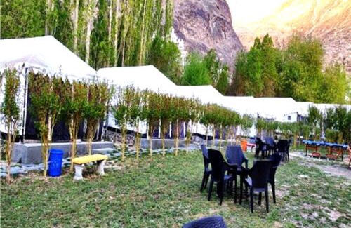 Hundur Other | Desert Oasis Camp