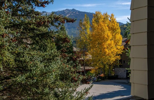 Blueberry Hill Apartment | Desirable Blueberry Hill