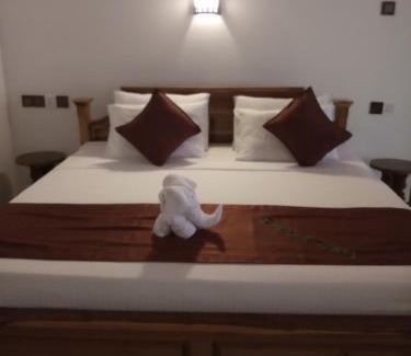 Udawalawa Apartment | Dew Safari Cottage