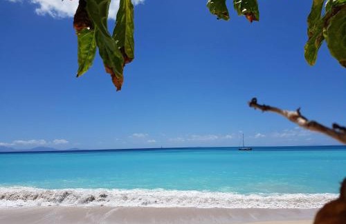 Dickenson Bay Apartment | Dickenson Bay Oasis at Antigua Village