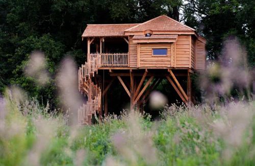 Ploemel Ski Chalet | Dihan Evasion