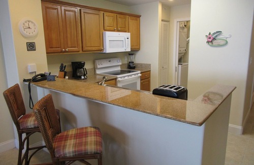 Florida Central Atlantic Coast Condo | DISNEY area CONDO 2 KING BEDS 2 BUNKS 2 BATHS Large 1350 sq ft Lake View 10th fl