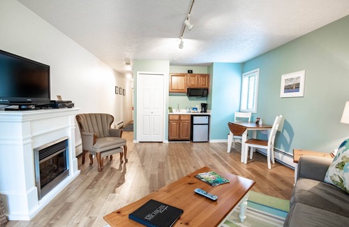 Charlevoix Condo | Dog Friendly | Downtown Charlevoix Condo | Indoor/Outdoor Pool | Jacuzzi Tub