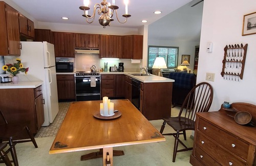 Fort Ann Cottage | Dog friendly lakefront home w/fireplace near Lk George. Telecommuters welcome!
