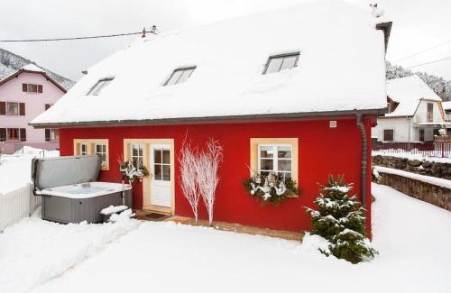 Sewen House | Doller Villa 4 stars Hot Tub Mountain Ski Ballon d'Alsace