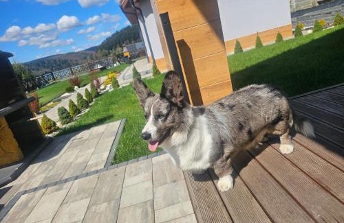 Solina Villa | Dom na Wzgórzu SŁOŃCE na wyłączność JACUZZI ELEKTRYCZNE SAUNA ROWERY