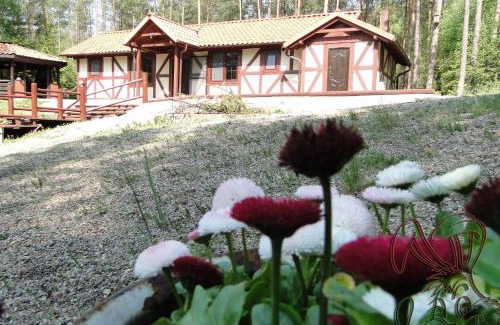 Stara Kiszewa House | Dom nad Stawem - ALEX