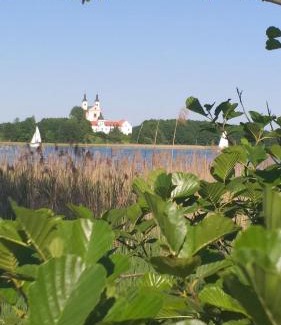 Stary Folwark Bed & Breakfast | Dom nad Wigrami