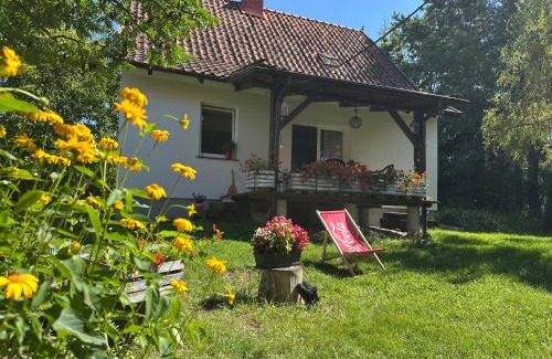 Szwalk House | Dom pod Aniołem