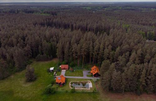 Plaska House | Dom pod Sosnami