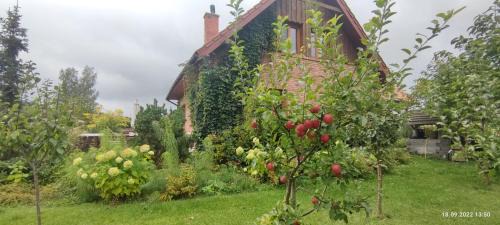 Glodowo Villa | Dom Rodzinny w Niedźwiedzim Rogu- nad Śniardwami