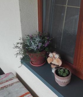 Dubicze Cerkiewne House | Dom w spokojnej okolicy