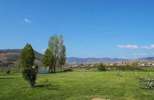 Julienas Villa | Domaine David Beaupere