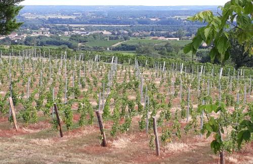Saint-Pierre-d'Aurillac House | Domaine de la belle Lurette