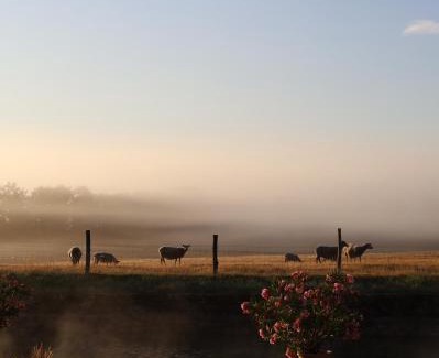 Confolens Bed & Breakfast | DOMAINE de la PARTOUCIE