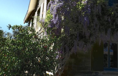 Saint-Andre-de-Cubzac Bed & Breakfast | Domaine de Monein