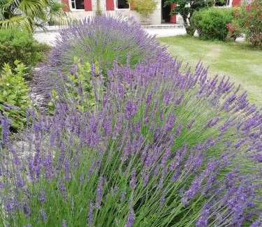 Jarnac-Champagne Bed & Breakfast | Domaine des Tonneaux