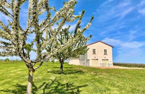 Lugny House | Domaine Joseph LAFARGE Wine Resort WineMaker House La maison du Négociant