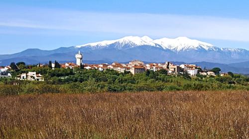 Banyuls-dels-Aspres House | Domaine MAS NATURA 2 gites climatisation, piscine et SPA