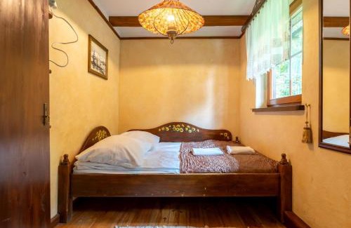 Bierutowice Ski Chalet | Domek Góralski przyjazny zwierzętom - ogrodzony - Blisko szlaków i aquaparku - z prywatną sauną, ogrodem