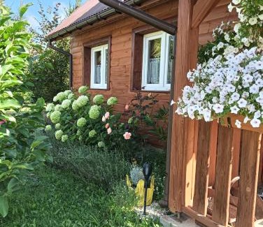 Ustrzyki Dolne Cabin | Domek Gajowego