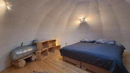 gmina Krempna Apartment | Domek Kopułowy Salamandra