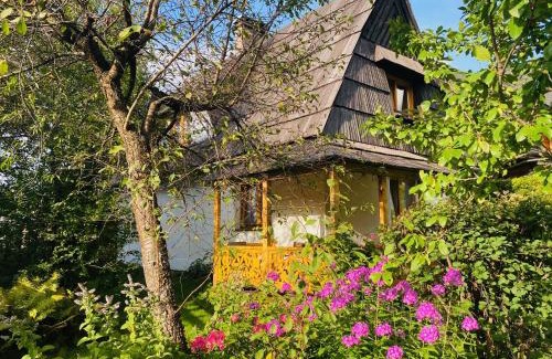 Zakopane Cabin | Domek Leśny