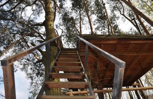 gmina Kamionka Cabin | Domek na Drzewie!