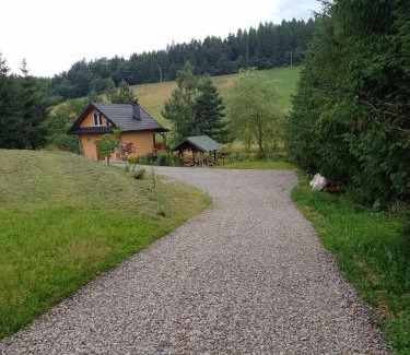 gmina Tyrawa Wołoska Apartment | Domek nad Stawem Siemuszowa