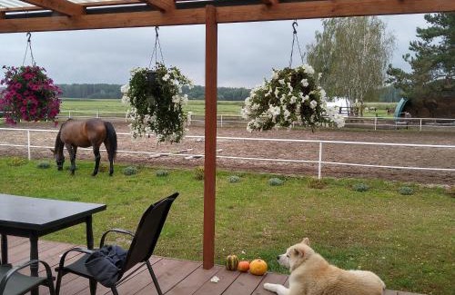 gmina Rossosz House | Domek przy stajni Bogdanówka całoroczny