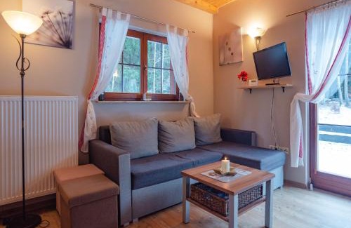 Szklarska Poreba Ski Chalet | Domek Tylko Tu