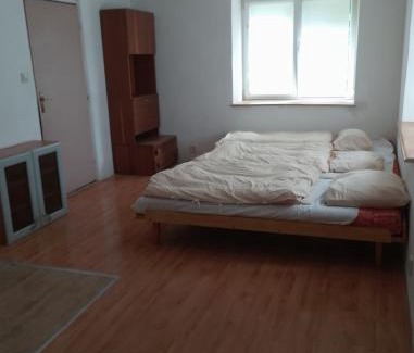 Vamberk House | Domek u lesa