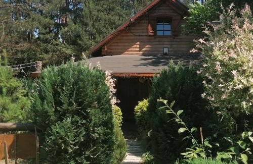Radziejowice House | Domek w Ogrodzie Całoroczny 800m od Parku Wodnego Suntago Ranczo Gold Mania