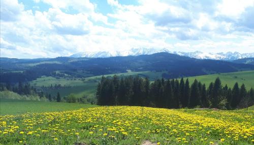 Krempachy Ski Chalet | Domek Wichrówka z widokiem na góry