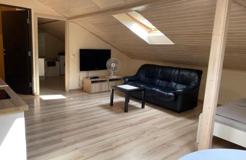 Vilnius city municipality Apartment | Domina