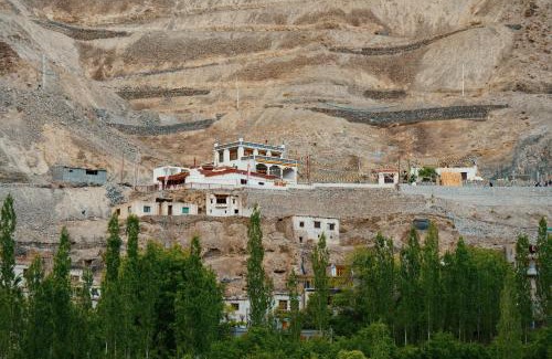 Tingmosgang House | Domkhar Eco Homestay