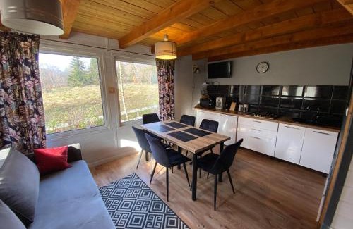 Ustrzyki Dolne Ski Chalet | Domki że Hej Bieszczady