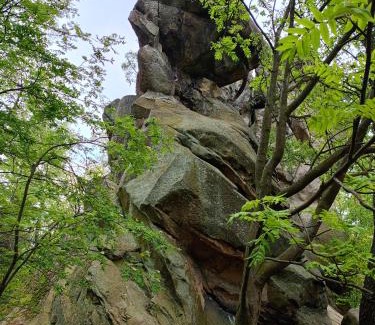 Baligrod House | Domki nad potokiem w Baligrodzie