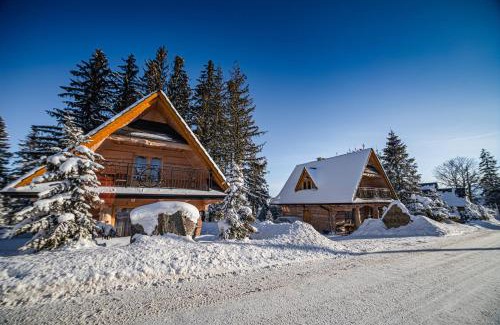 Poronin Ski Chalet | Domki u Bobaków