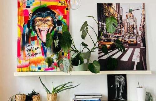 Lower Town Apartment | Down-Town 1 Bedroom Flat
