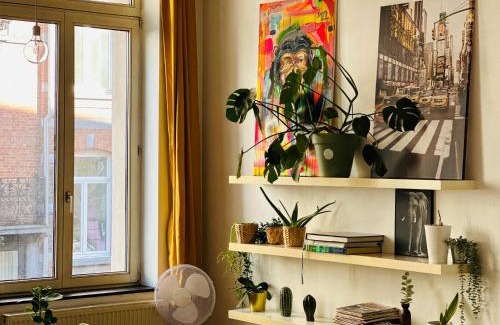 Lower Town Apartment | Down-Town 1 Bedroom Flat