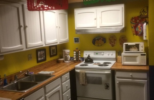 Crested Butte Apartment | DOWNTOWN. 1 block to everything. Walk. Hot Tub. Clean. Check out the reviews.